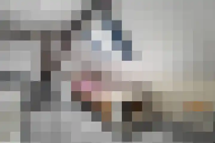 Kerkweg 9 Pesse thumbnail 40