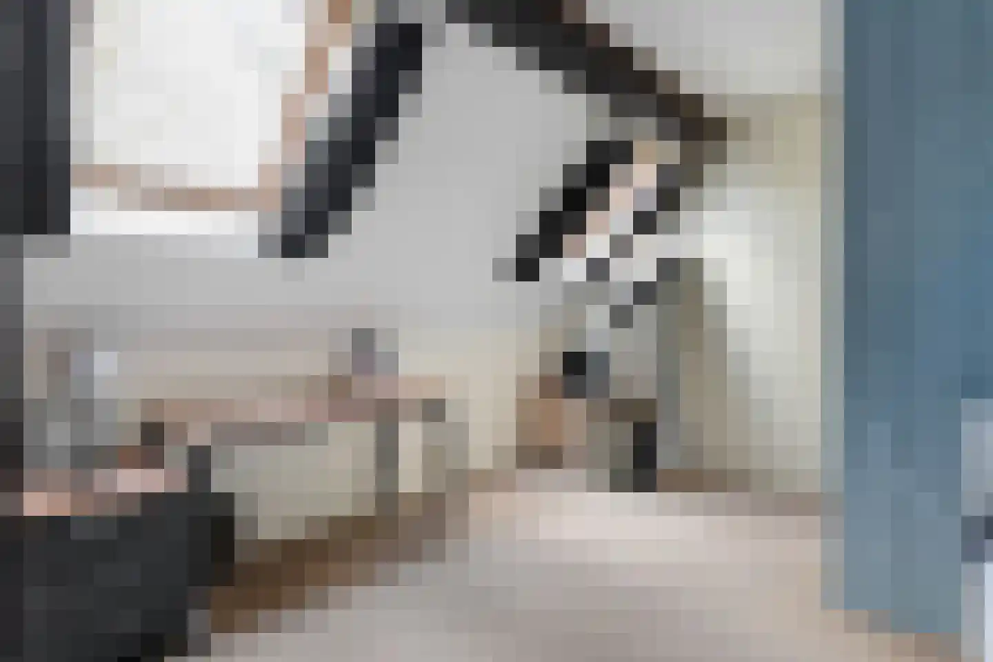 Kerkweg 9 Pesse thumbnail 47
