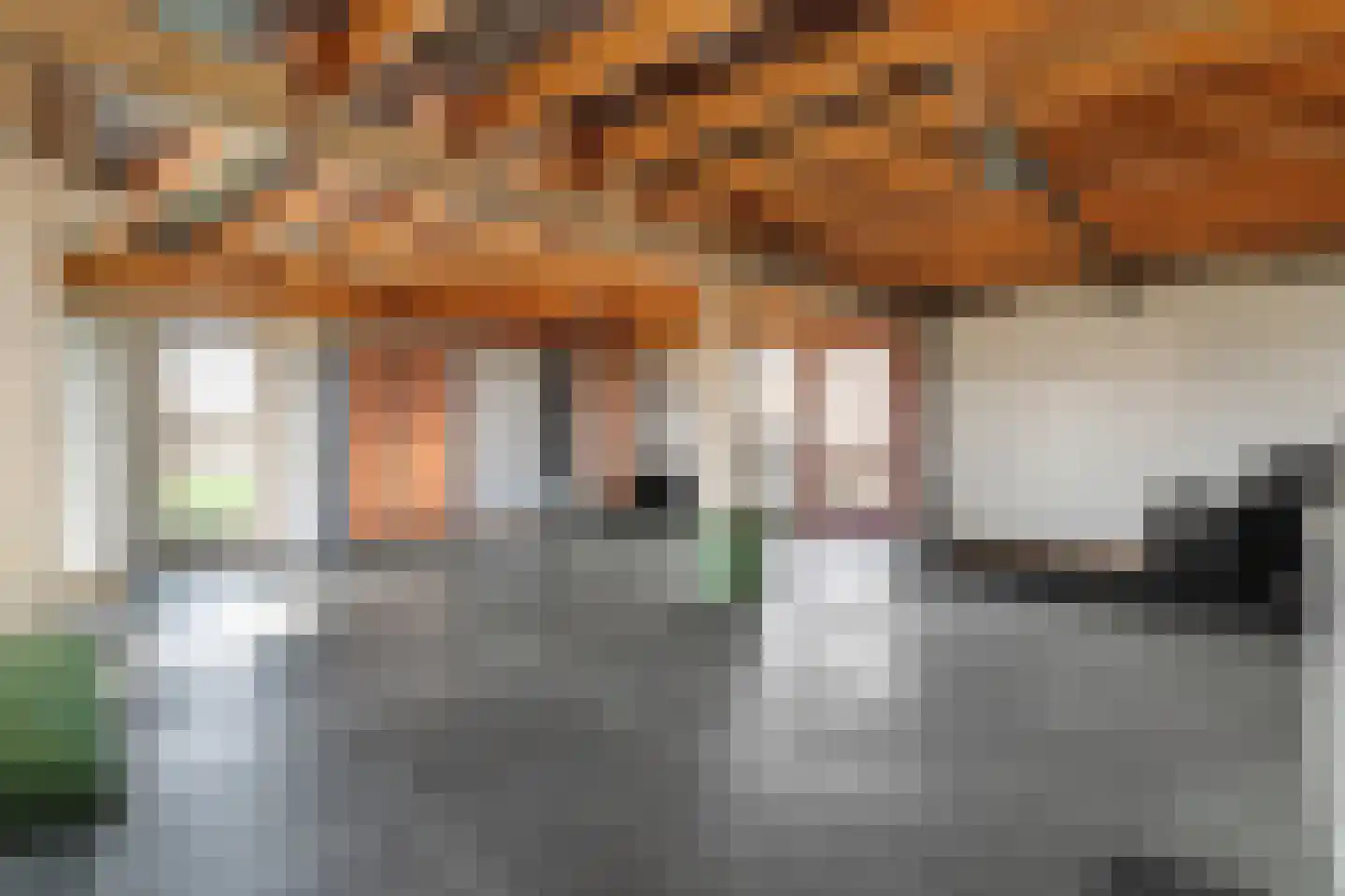 Kerkweg 9 Pesse thumbnail 48