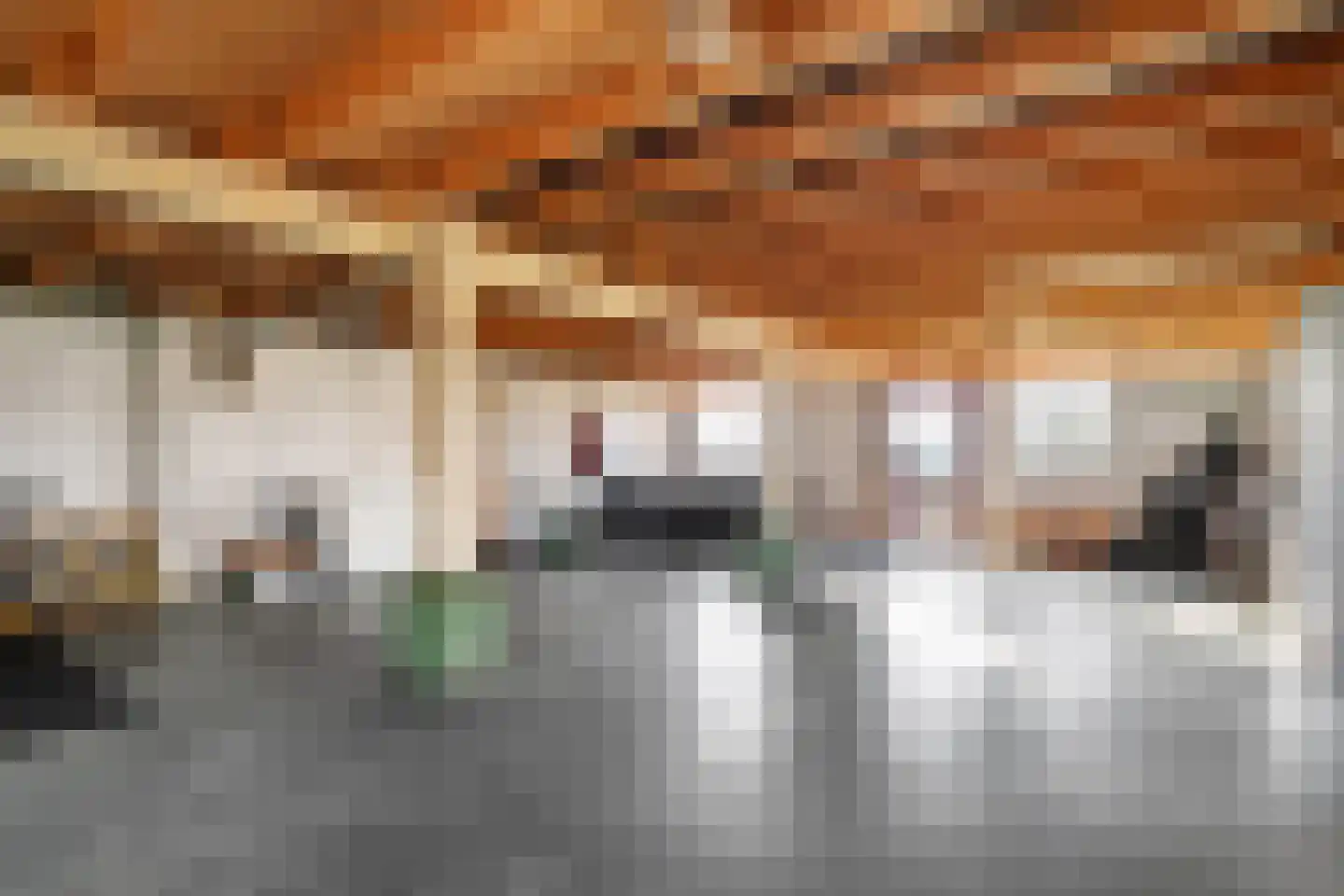 Kerkweg 9 Pesse thumbnail 49