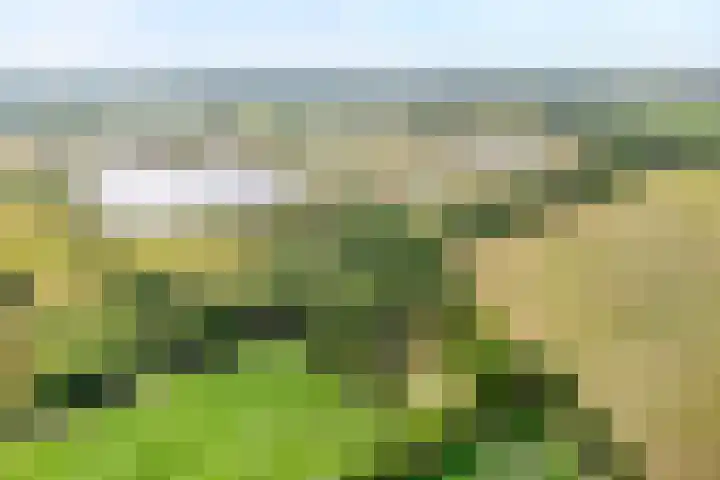 Kerkweg 9 Pesse thumbnail 5