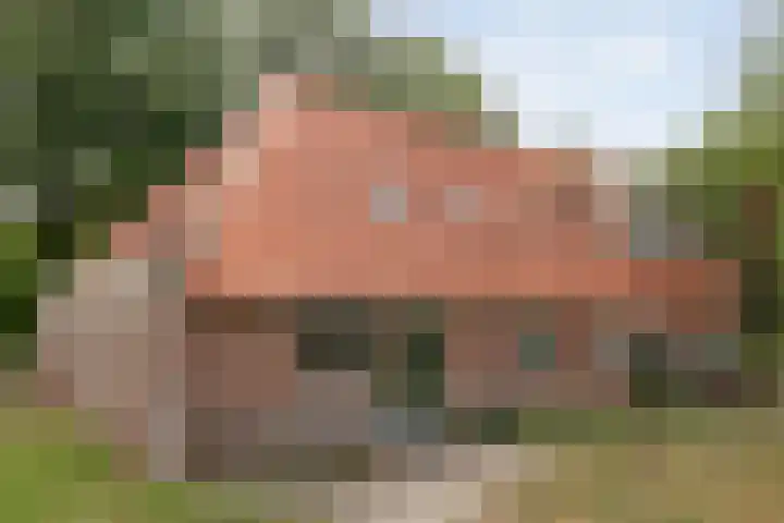 Kerkweg 9 Pesse thumbnail 50