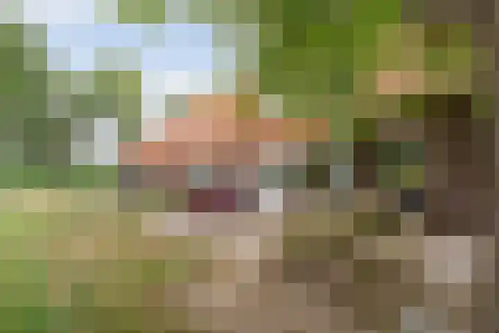 Kerkweg 9 Pesse thumbnail 51