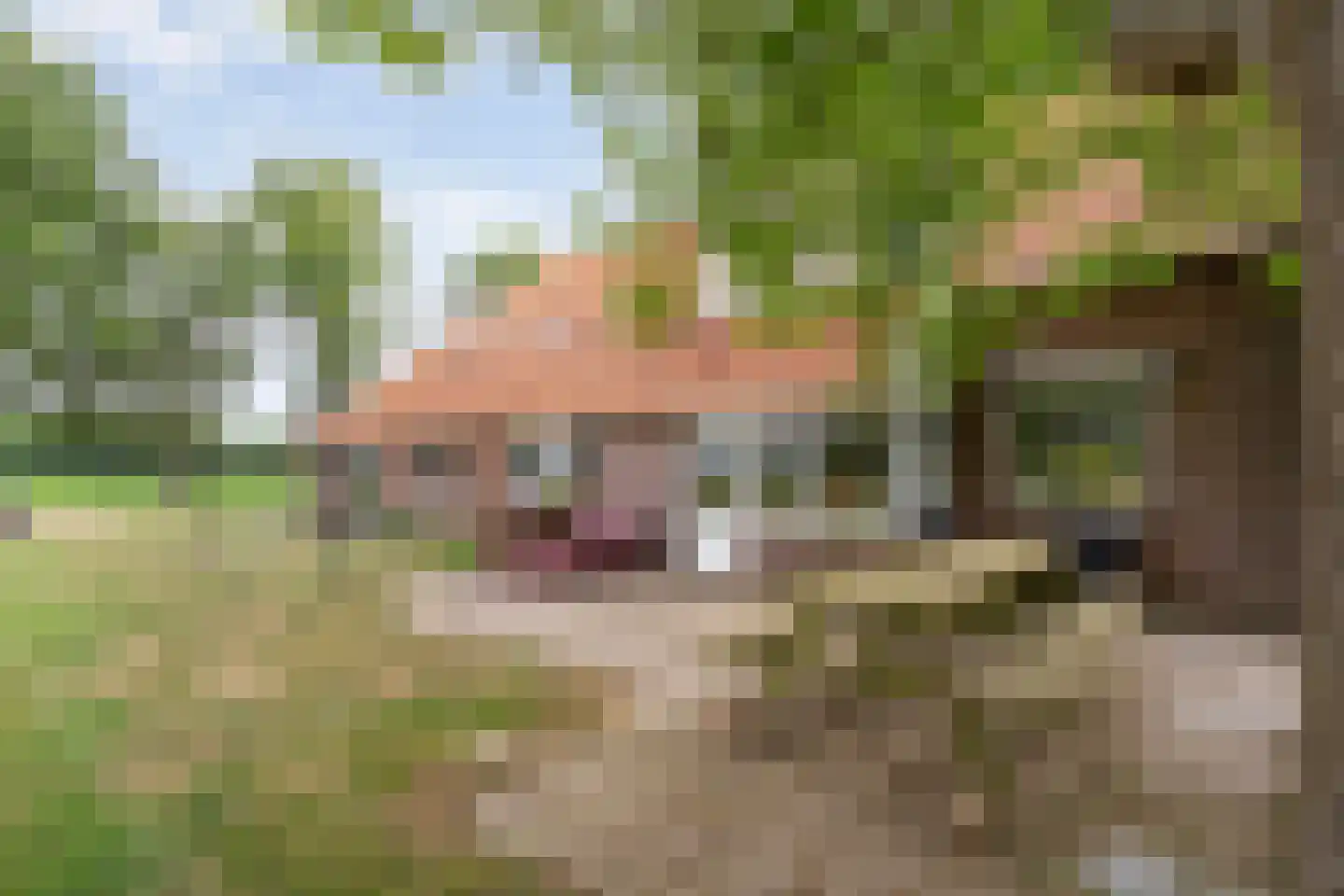 Kerkweg 9 Pesse thumbnail 51