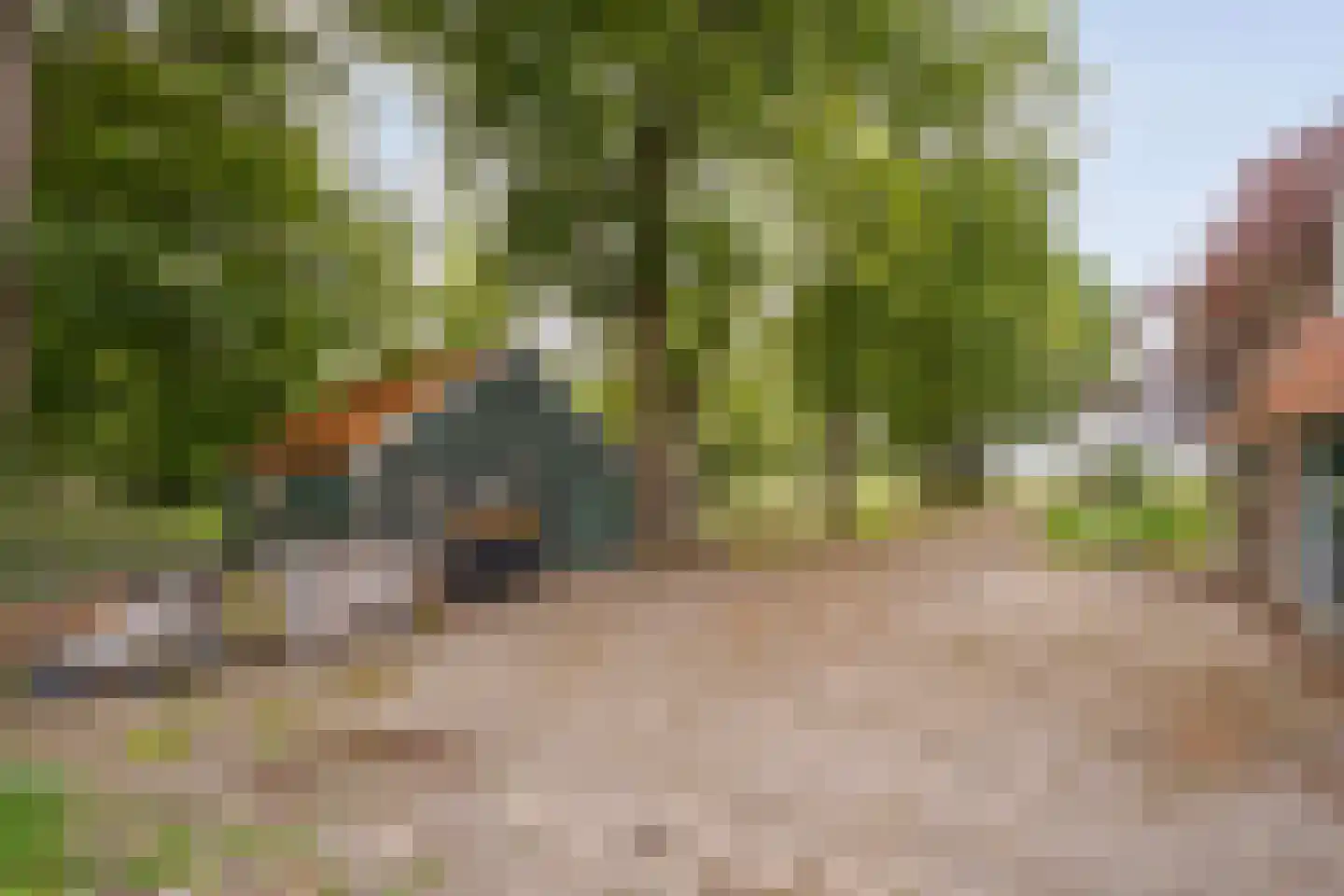 Kerkweg 9 Pesse thumbnail 52