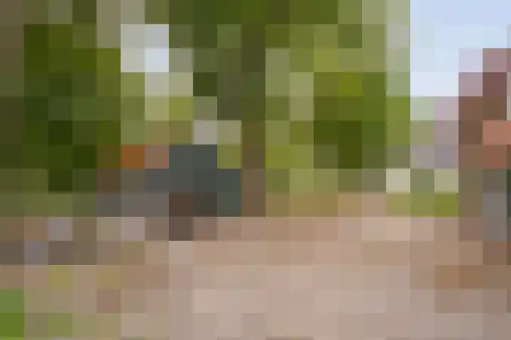 Kerkweg 9 Pesse thumbnail 52