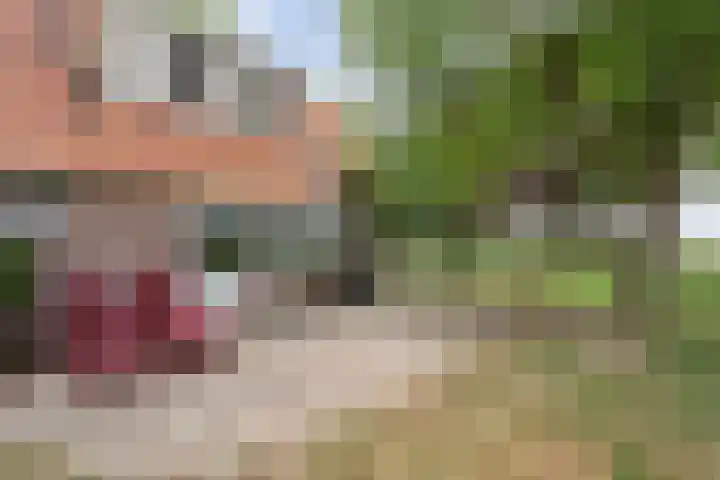 Kerkweg 9 Pesse thumbnail 53