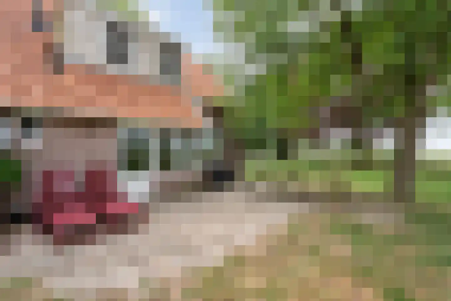 Kerkweg 9 Pesse thumbnail 53