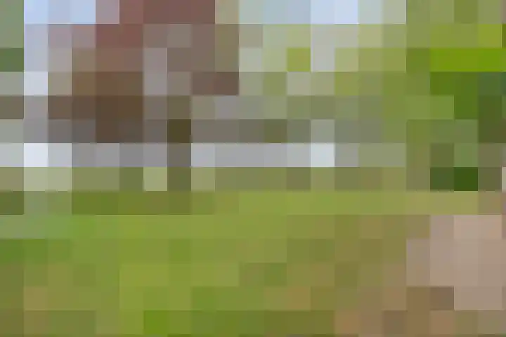 Kerkweg 9 Pesse thumbnail 54