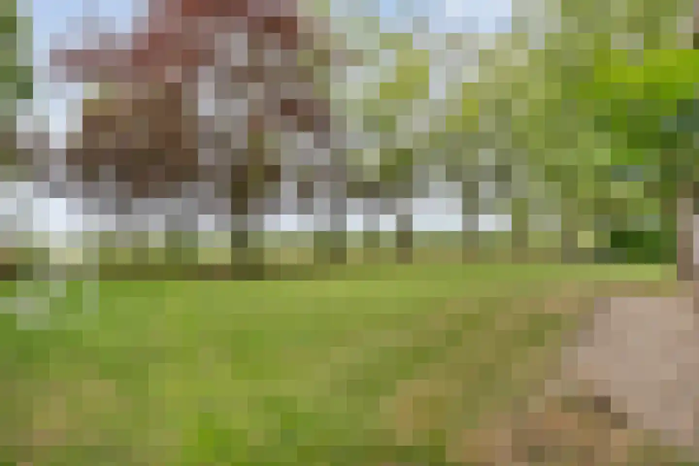 Kerkweg 9 Pesse thumbnail 54
