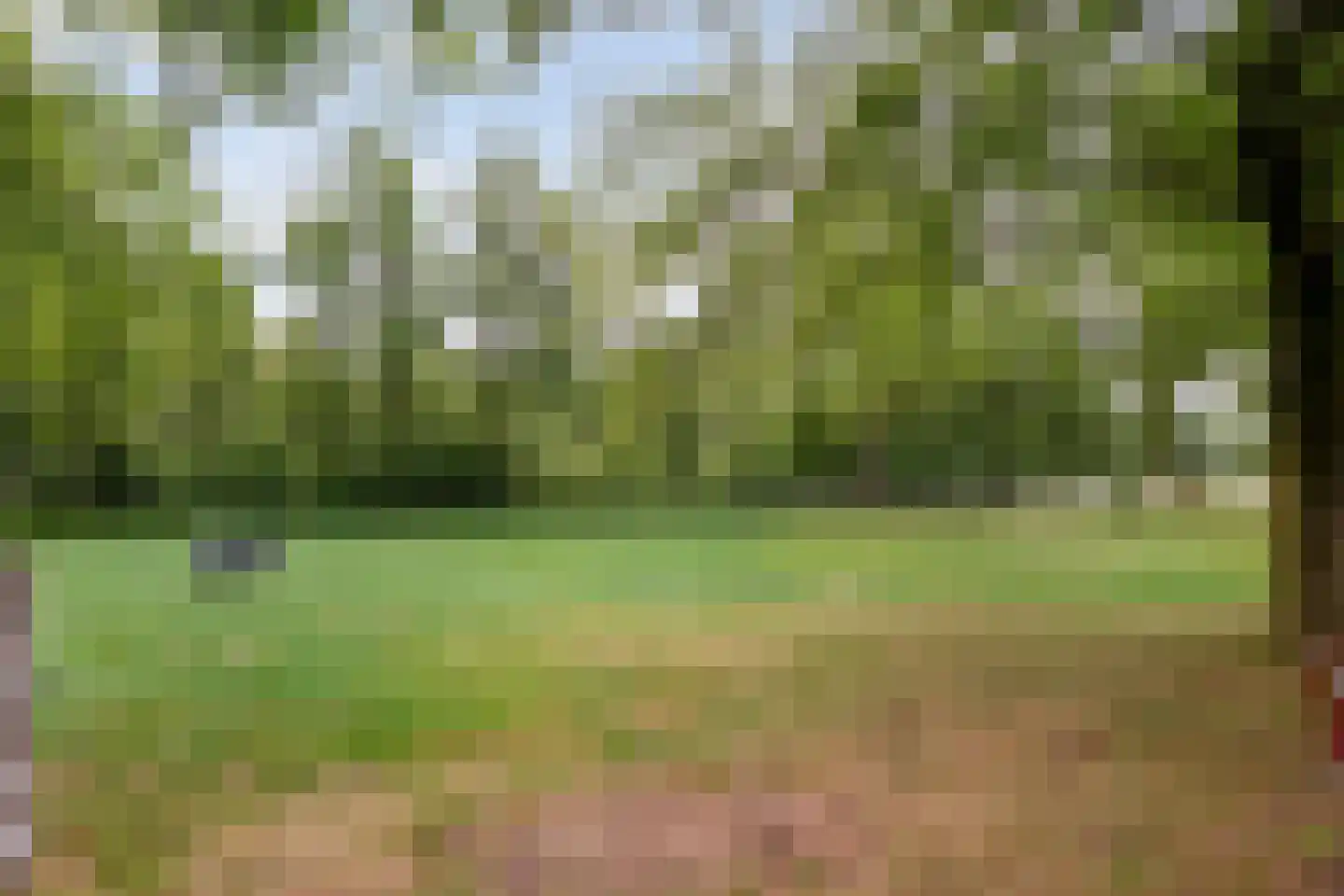 Kerkweg 9 Pesse thumbnail 55