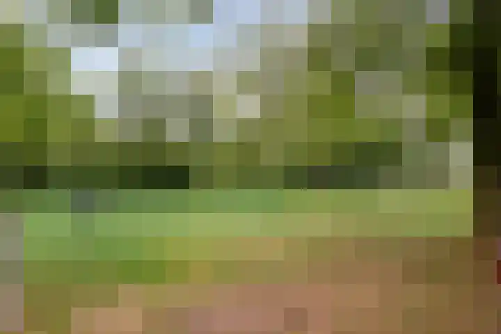 Kerkweg 9 Pesse thumbnail 55