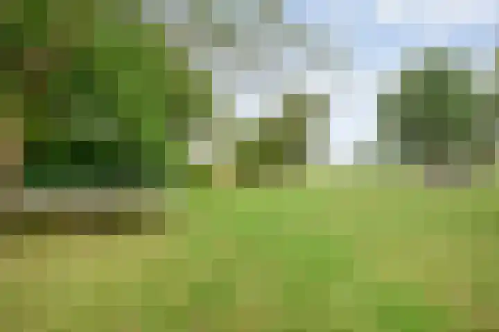 Kerkweg 9 Pesse thumbnail 56
