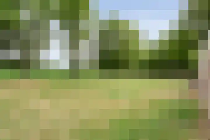 Kerkweg 9 Pesse thumbnail 57
