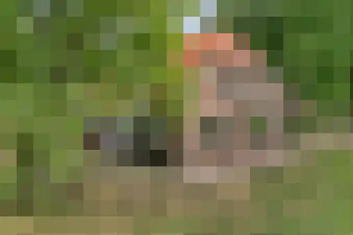Kerkweg 9 Pesse thumbnail 6