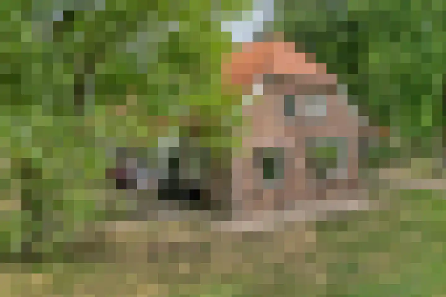 Kerkweg 9 Pesse thumbnail 6