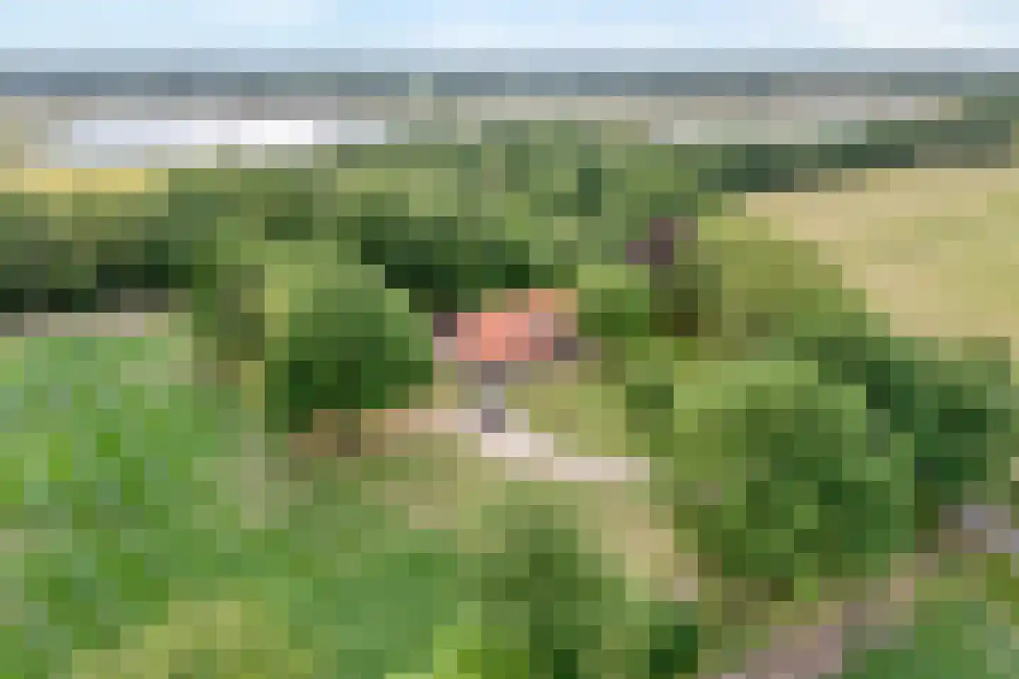 Kerkweg 9 Pesse thumbnail 60