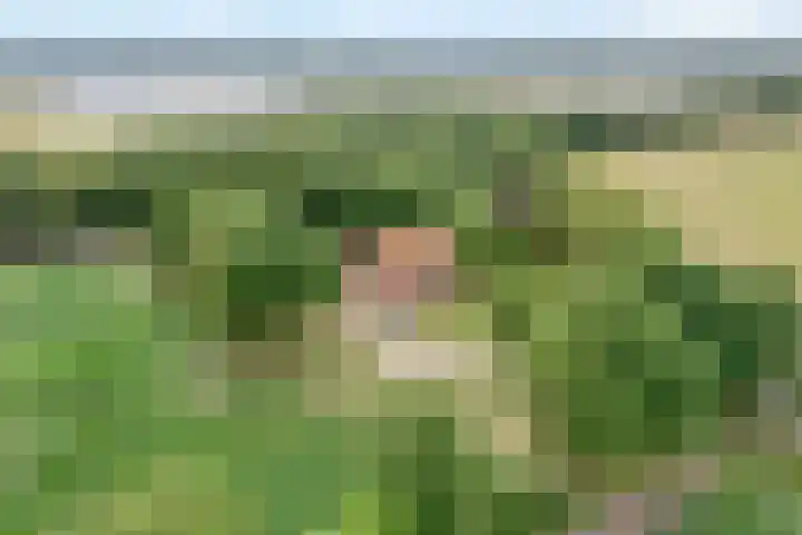 Kerkweg 9 Pesse thumbnail 60