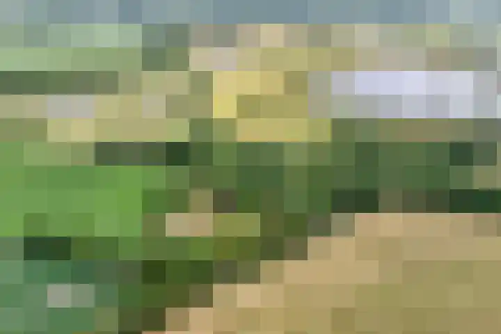 Kerkweg 9 Pesse thumbnail 61