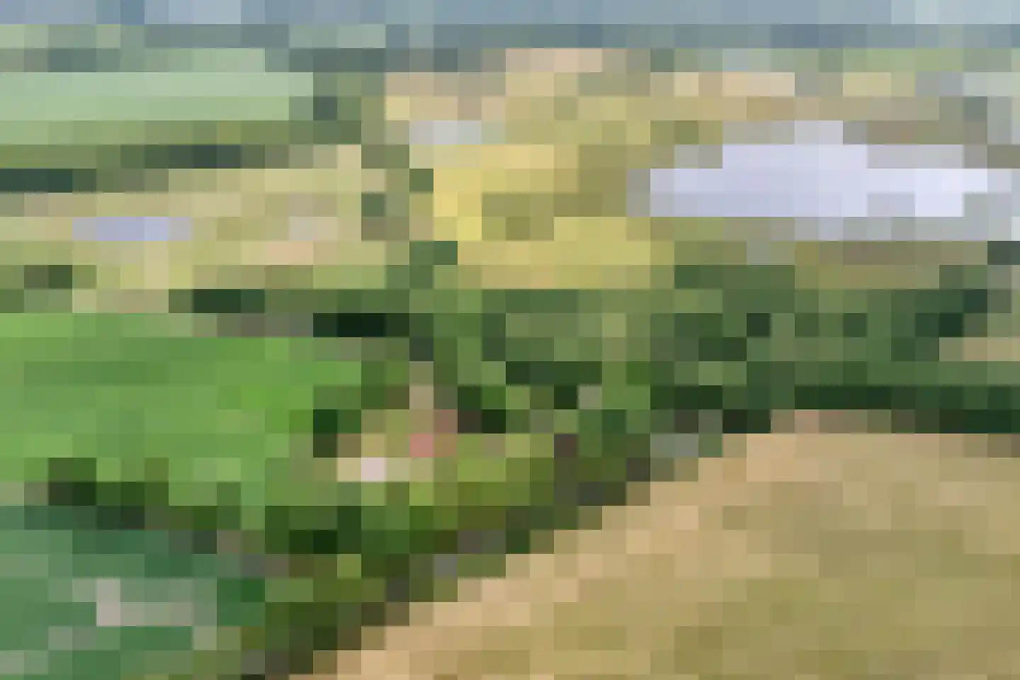 Kerkweg 9 Pesse thumbnail 61