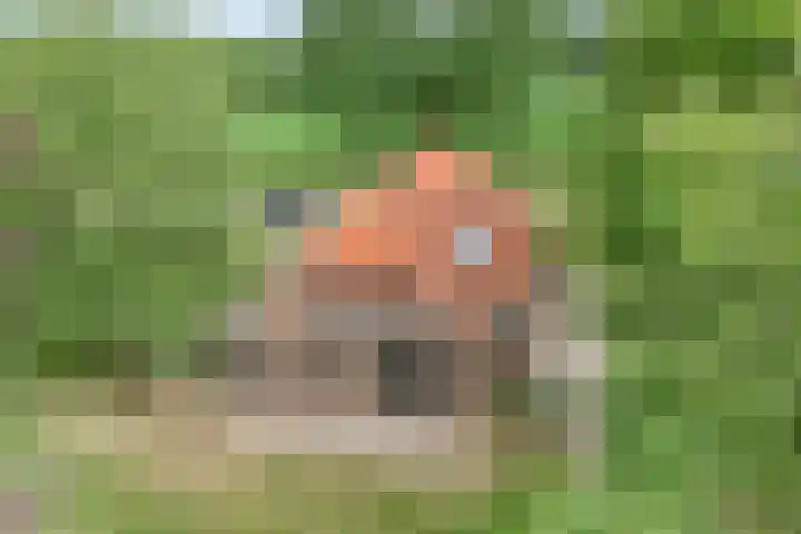 Kerkweg 9 Pesse thumbnail 7