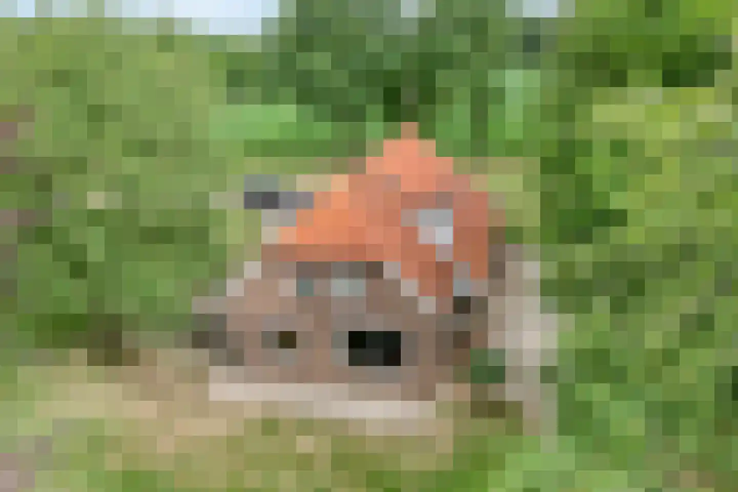 Kerkweg 9 Pesse thumbnail 7