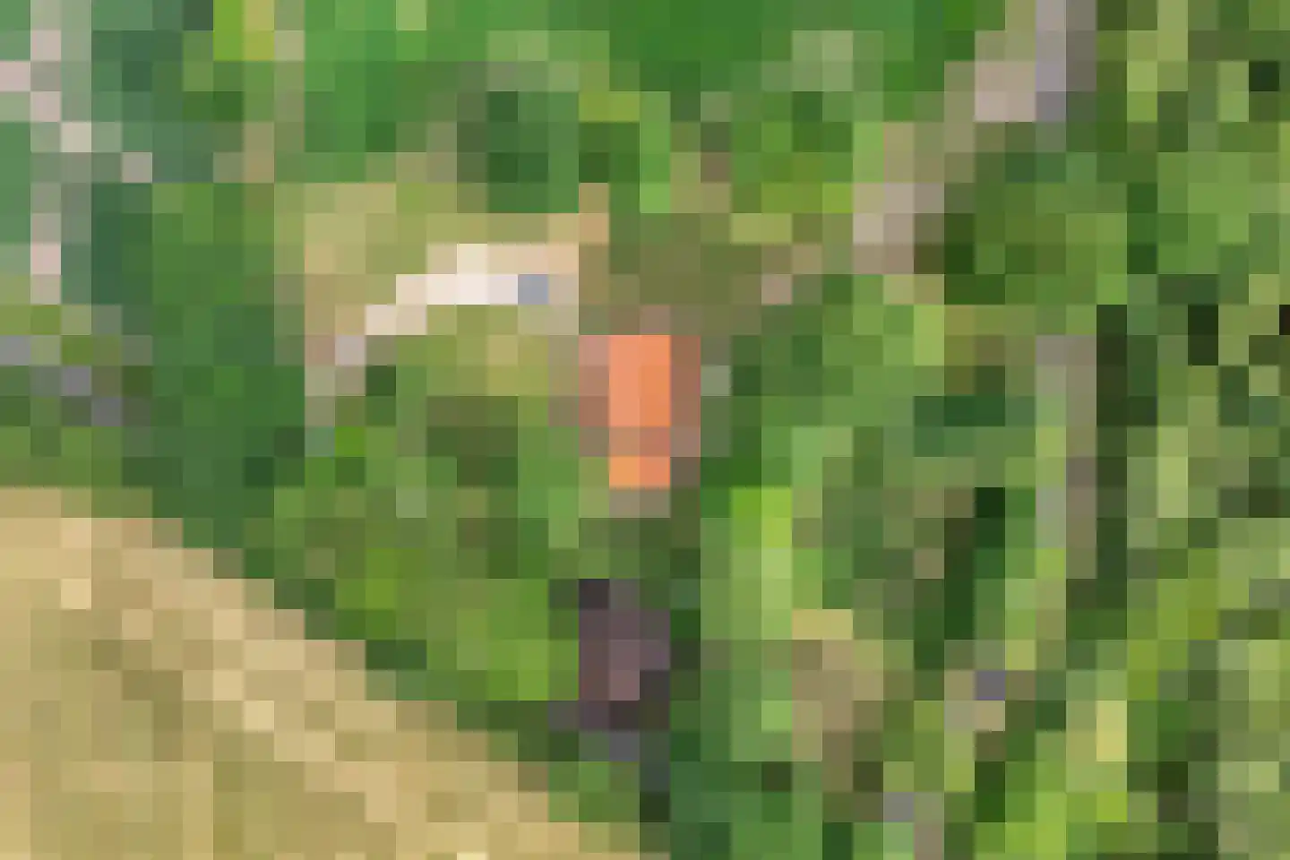 Kerkweg 9 Pesse thumbnail 8
