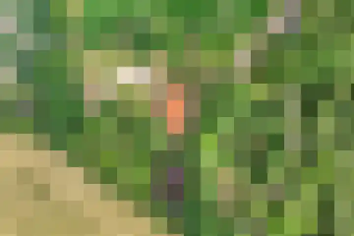 Kerkweg 9 Pesse thumbnail 8
