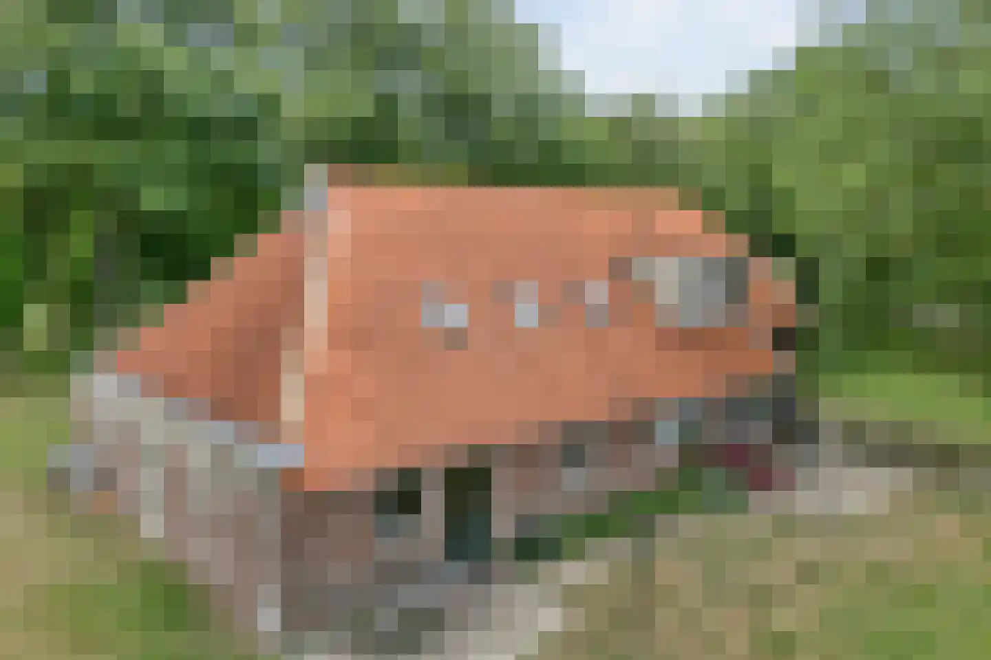 Kerkweg 9 Pesse thumbnail 9