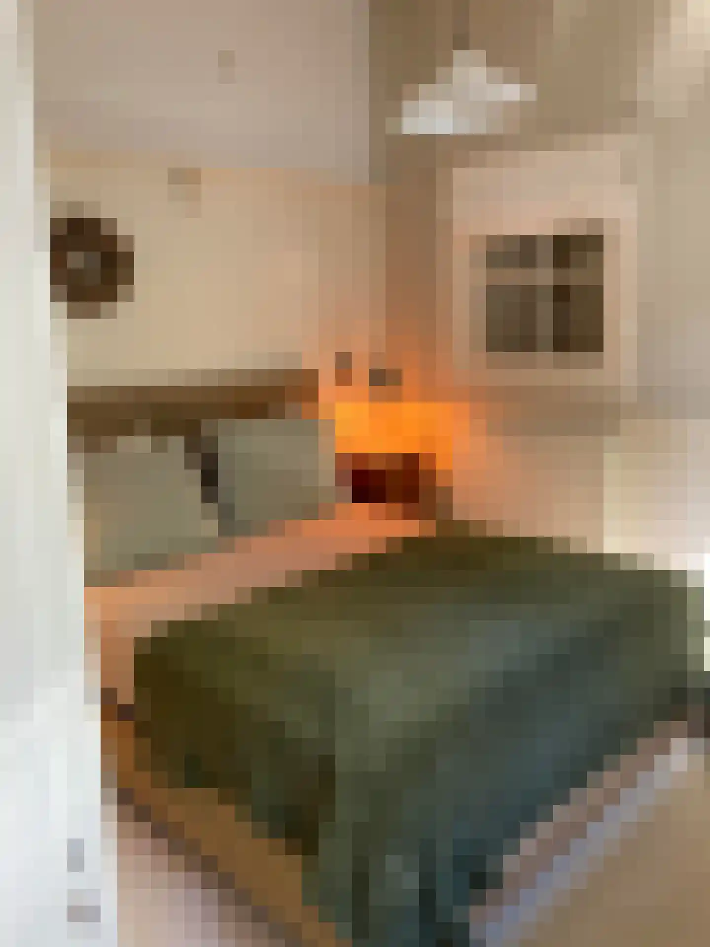 Kerkweg 9 Wemeldinge thumbnail 29