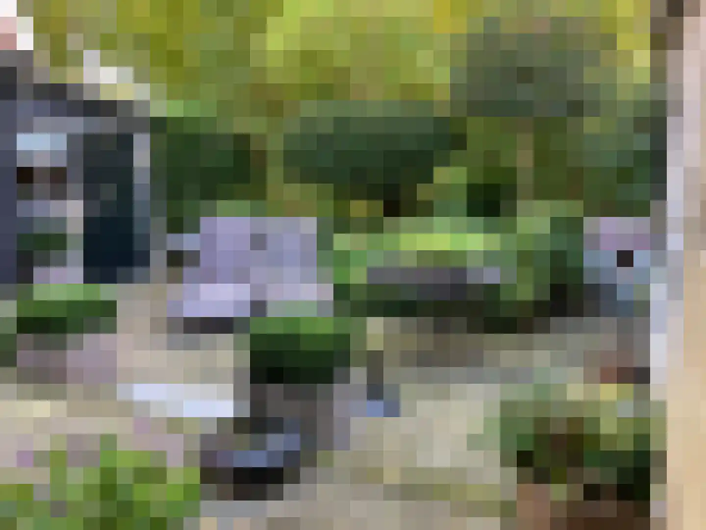 Kerkweg 9 Wemeldinge thumbnail 50