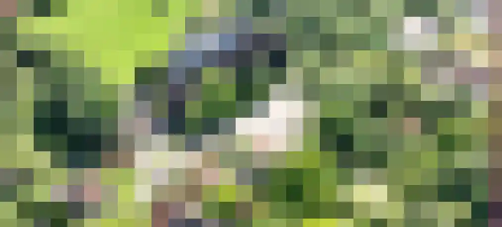Kerkweg 9 Wemeldinge thumbnail 52