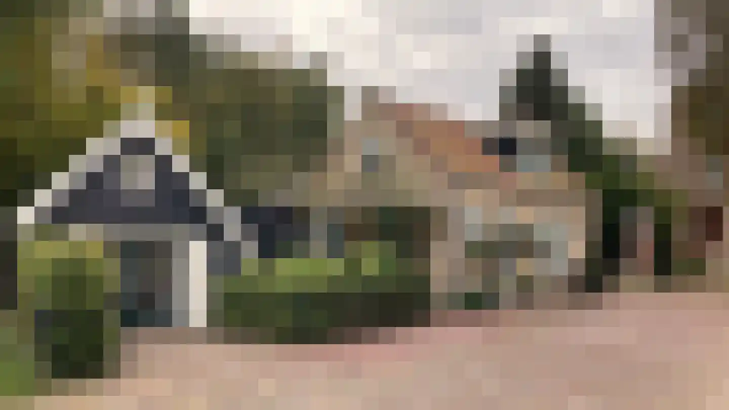 Kerkweg 9 Wemeldinge thumbnail 6