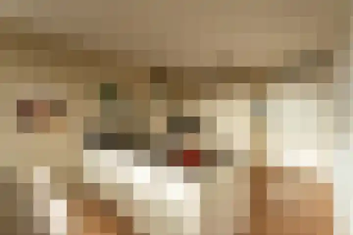 Kerkweg 90 Voorhout thumbnail 8