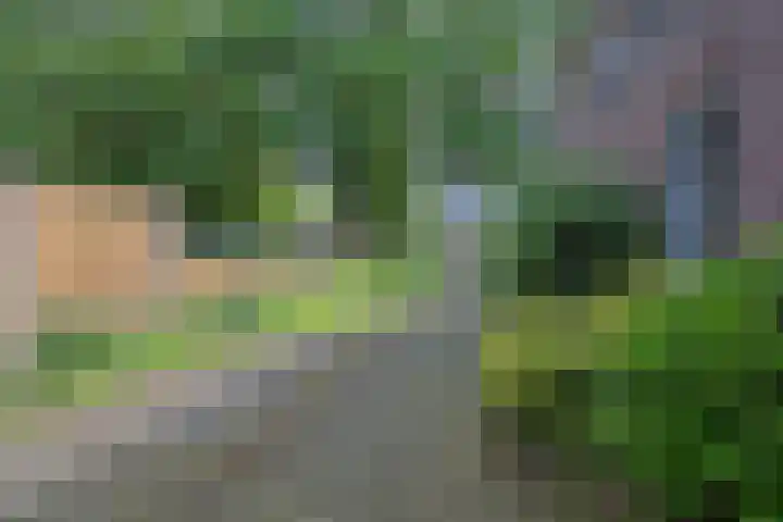 Kerkweg 95 A Erica thumbnail 28