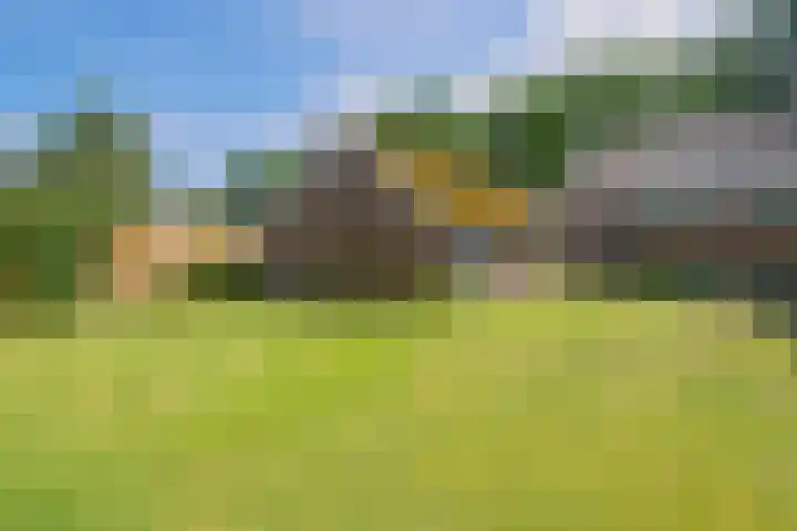 Kerkweg 95 A Erica thumbnail 32