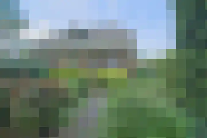 Kerkweg 95 A Erica thumbnail 33