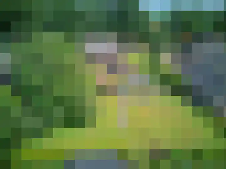 Kerkweg 95 A Erica thumbnail 35