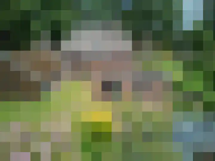 Kerkweg 95 A Erica thumbnail 36