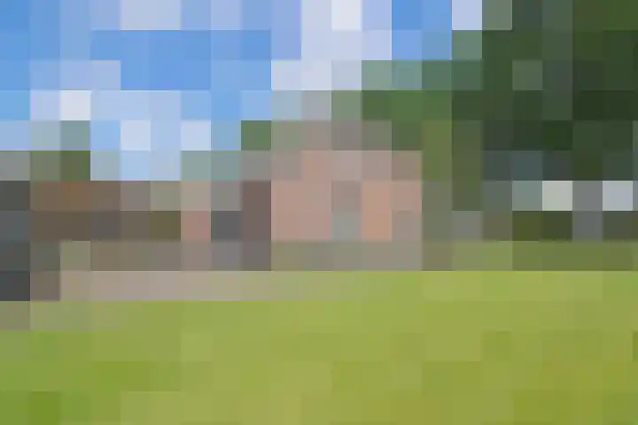 Kerkweg 95 Erica thumbnail 28