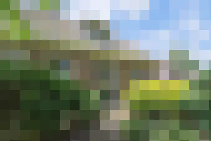 Kerkweg 95 Erica thumbnail 32
