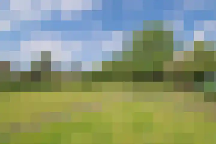 Kerkweg 95 Erica thumbnail 33