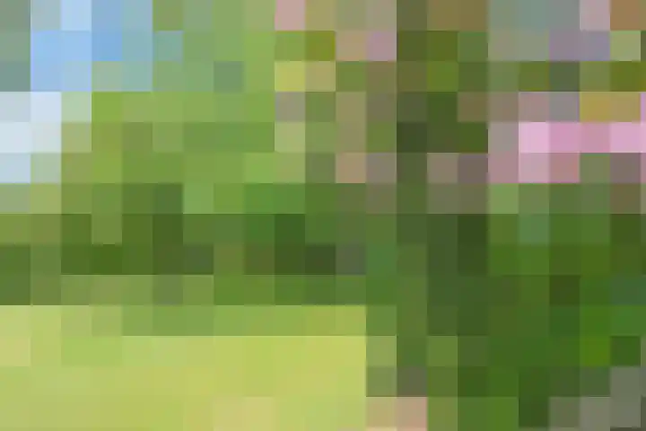 Kerkweg 95 Erica thumbnail 34