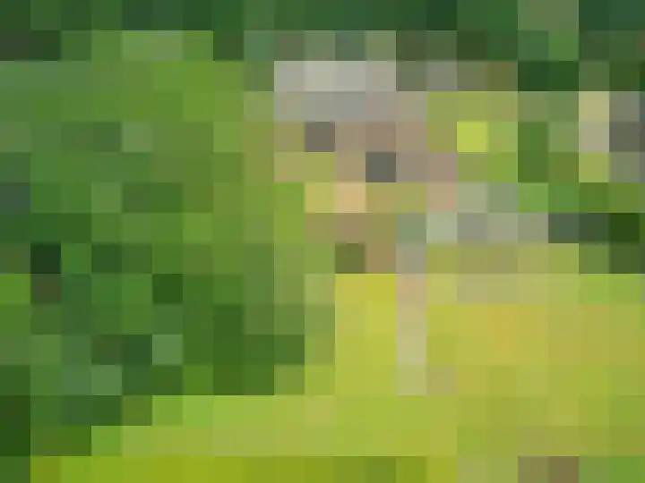 Kerkweg 95 Erica thumbnail 35