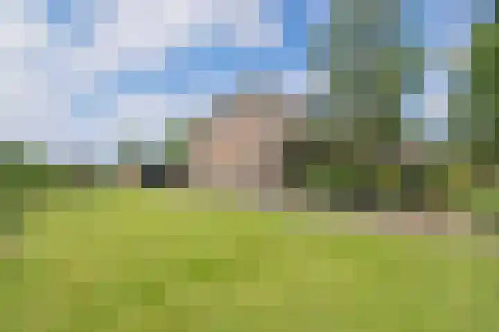 Kerkweg 95 Erica thumbnail 41