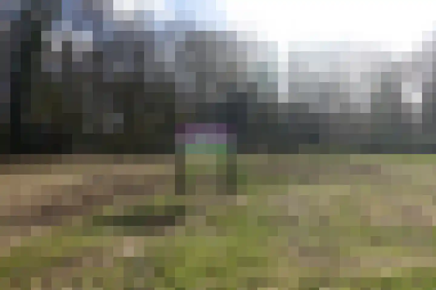 Kerkweg in Bellingwolde