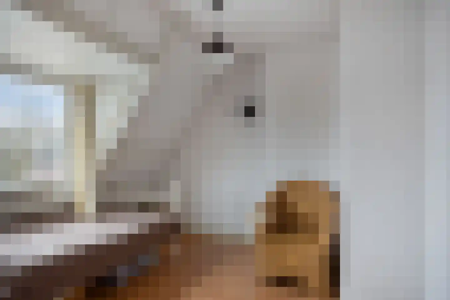 Kerkweg 98 Heemskerk thumbnail 23