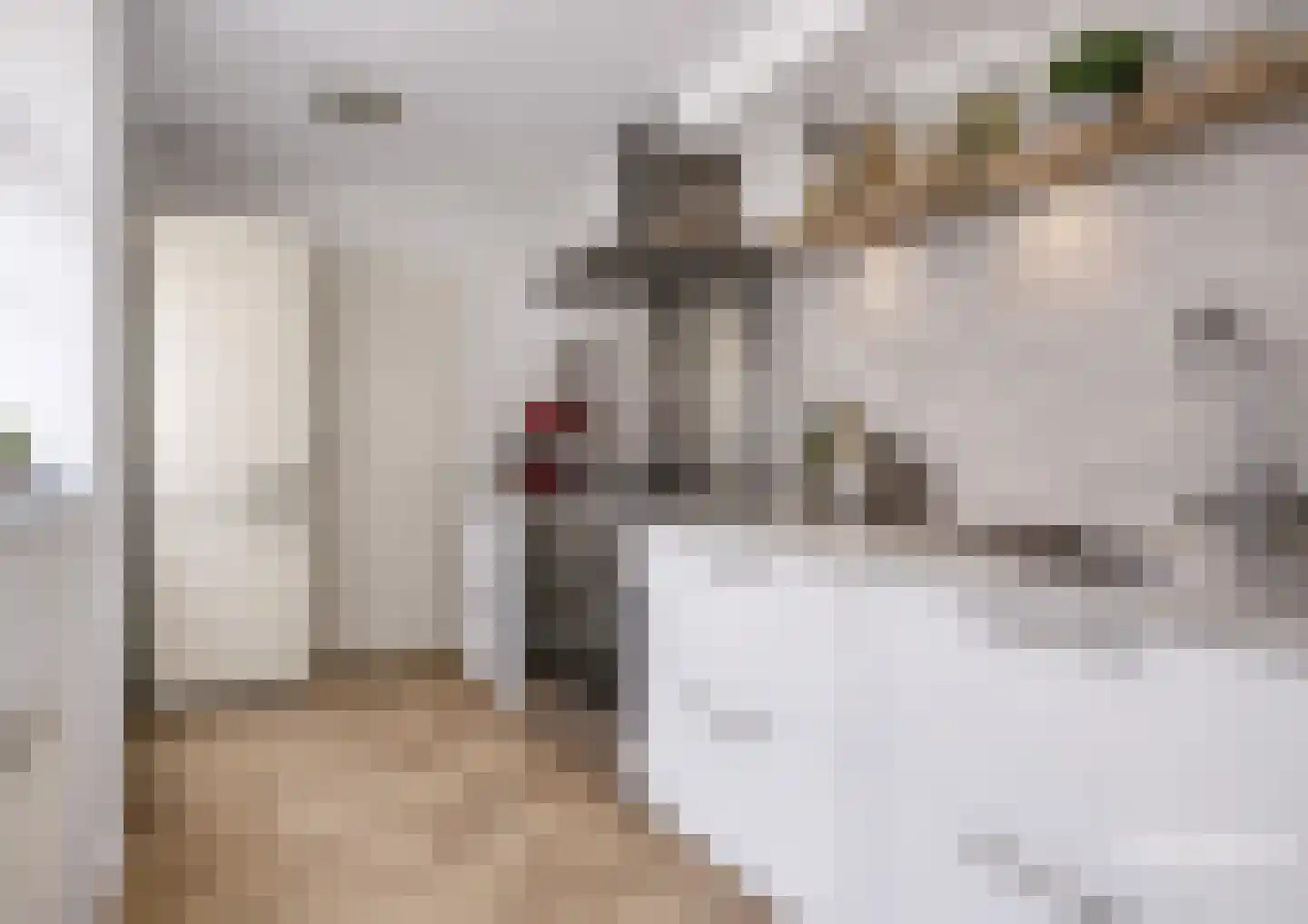 Kerkweg 98 Heemskerk thumbnail 9
