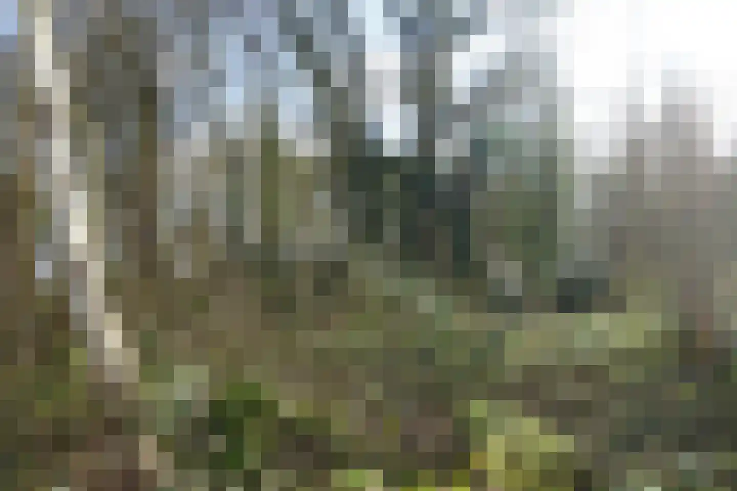 Kerkweg Bellingwolde thumbnail 5