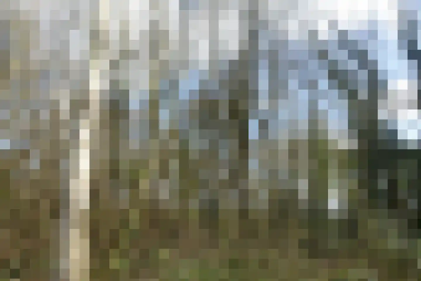 Kerkweg Bellingwolde thumbnail 6